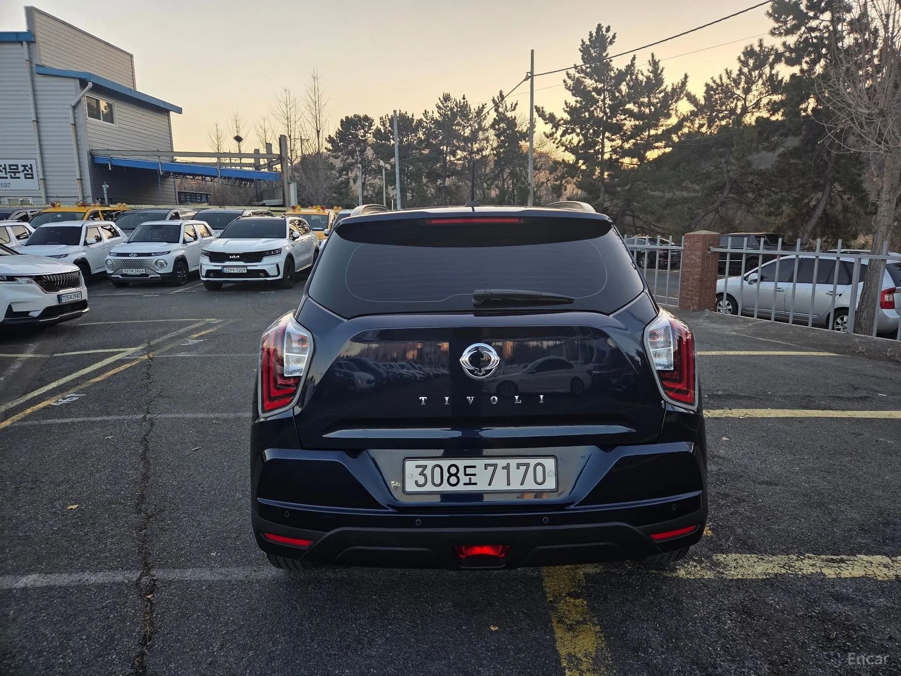 Berry New Tivoli