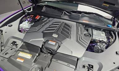 Urus