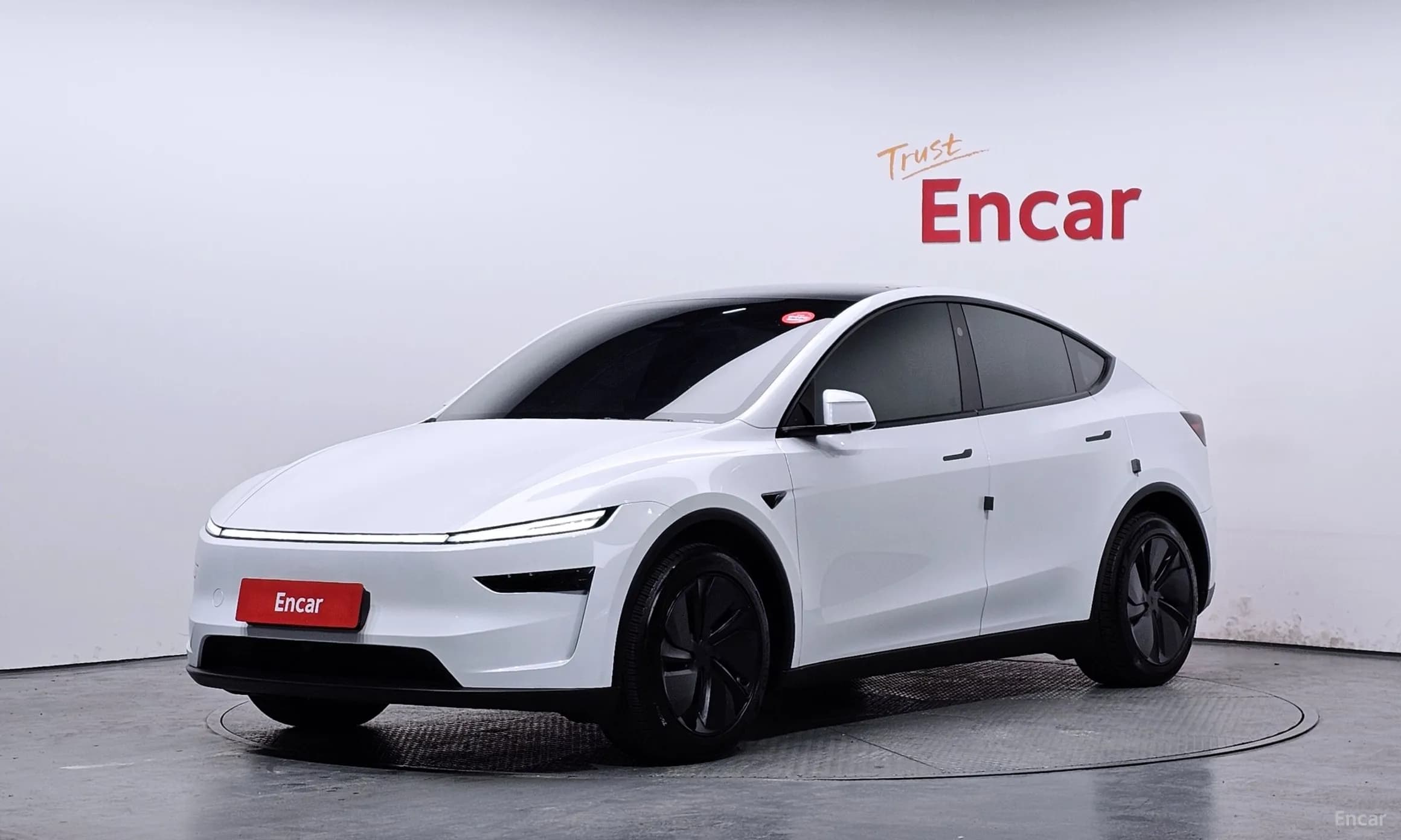 Model Y