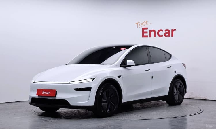 Model Y