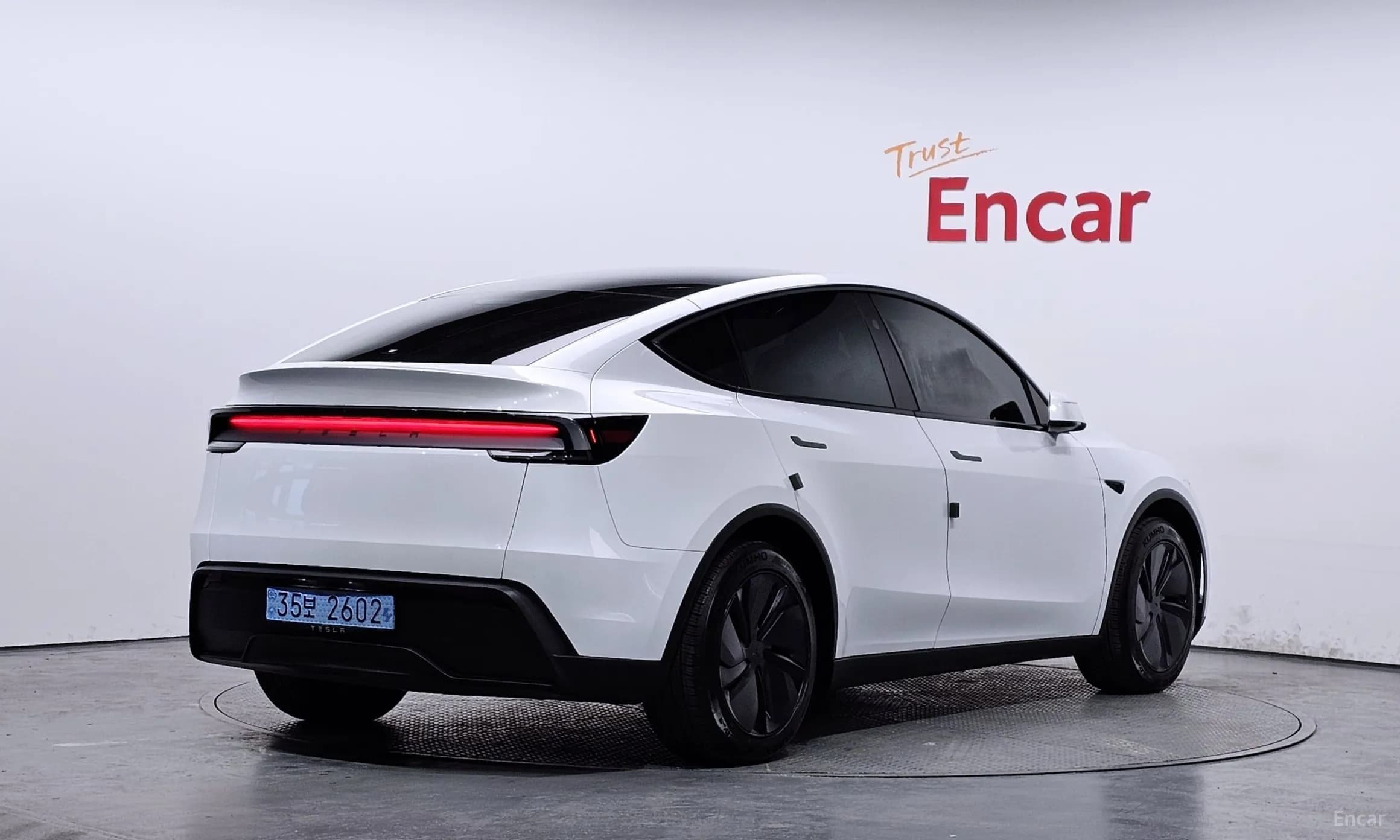 Model Y