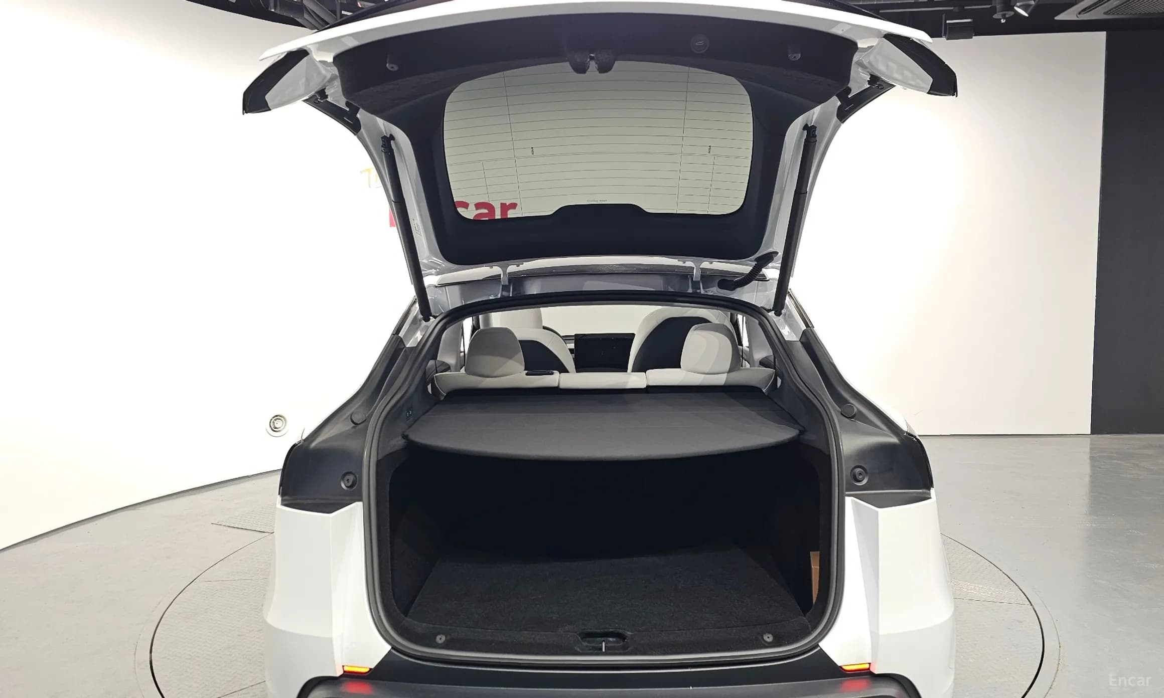 Model Y