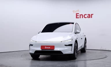 Model Y
