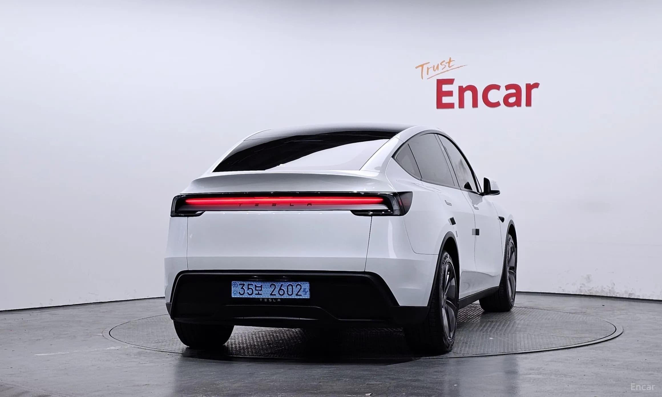 Model Y