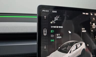 Model Y