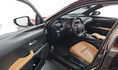 UX250h