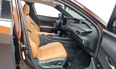 UX250h