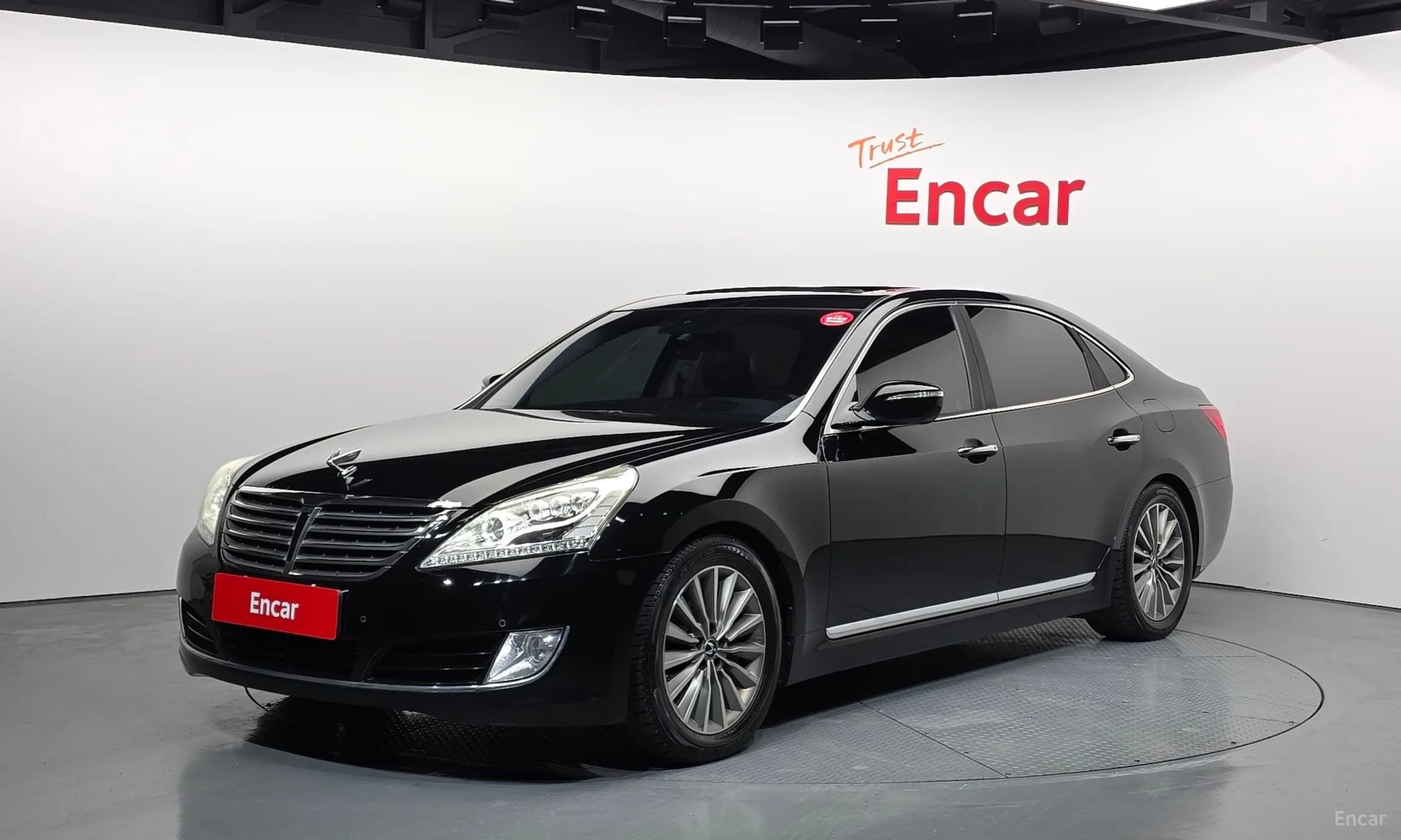 Equus (new)