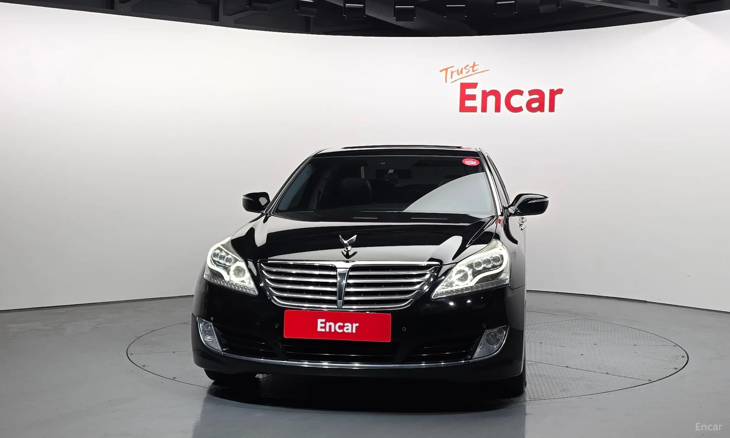Equus (new)