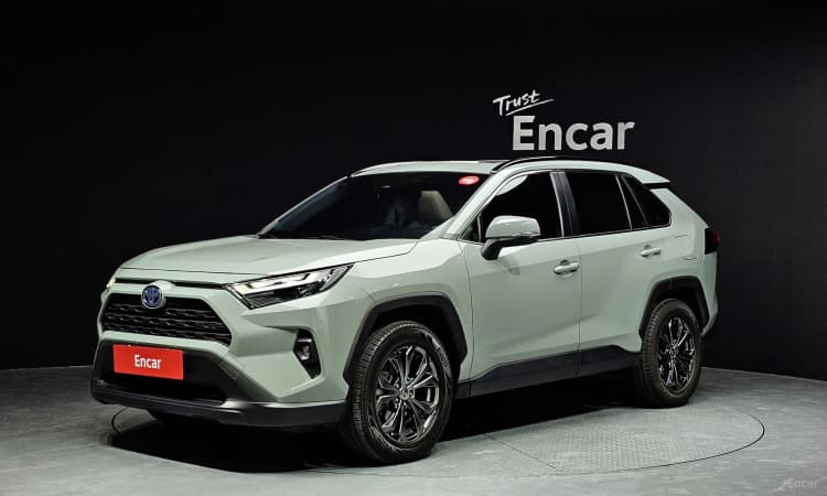 RAV4 5th Generation