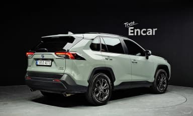 RAV4 5th Generation