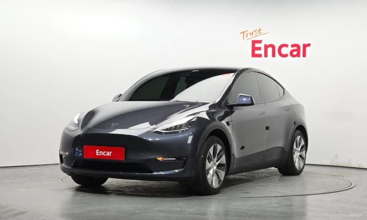 Model Y
