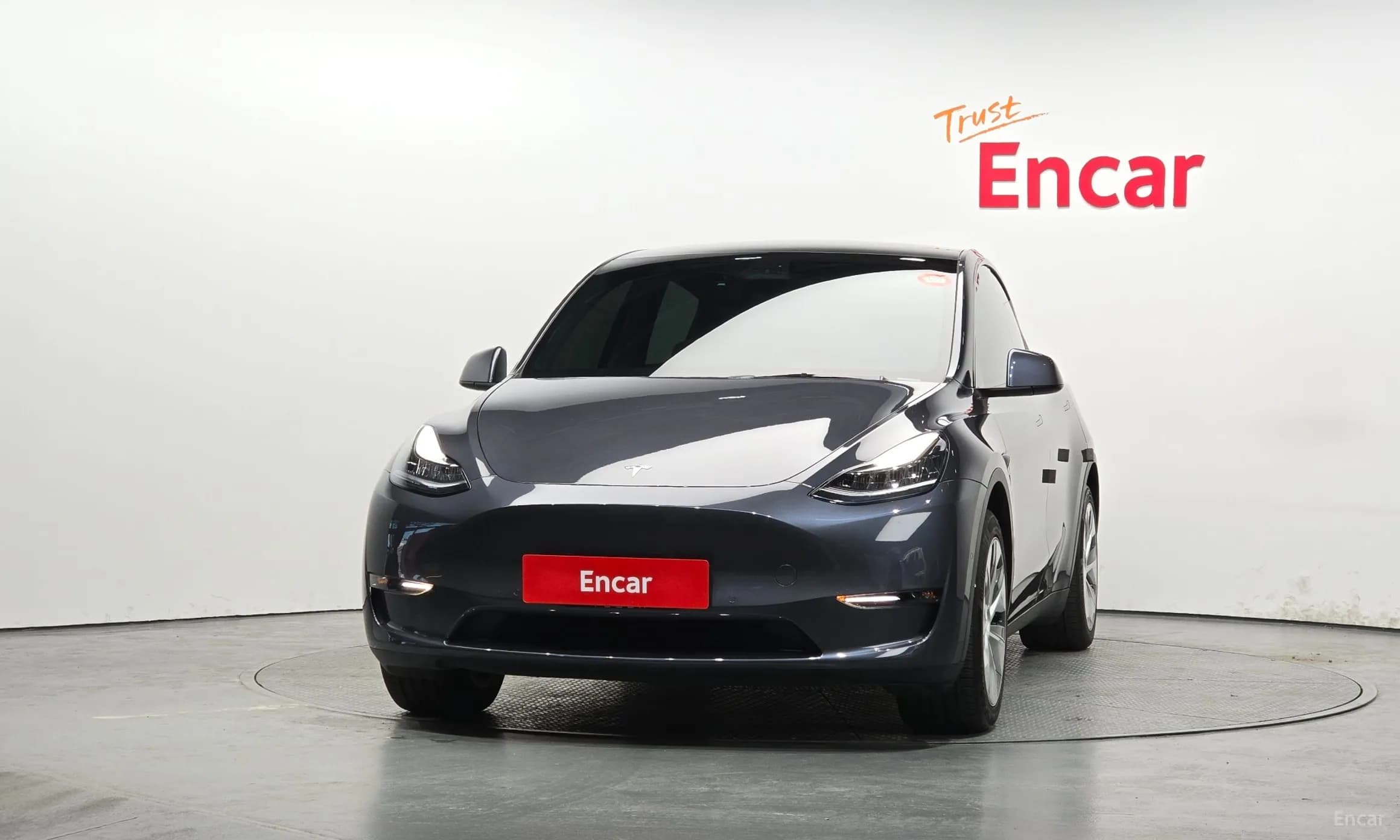 Model Y