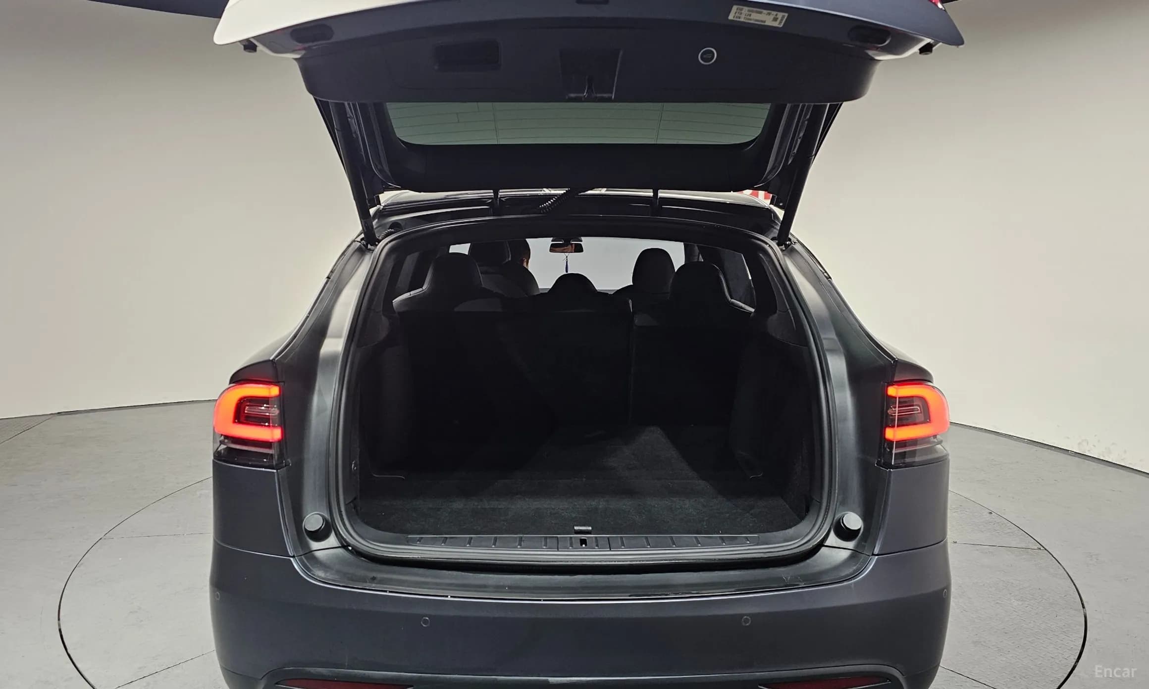 Model X
