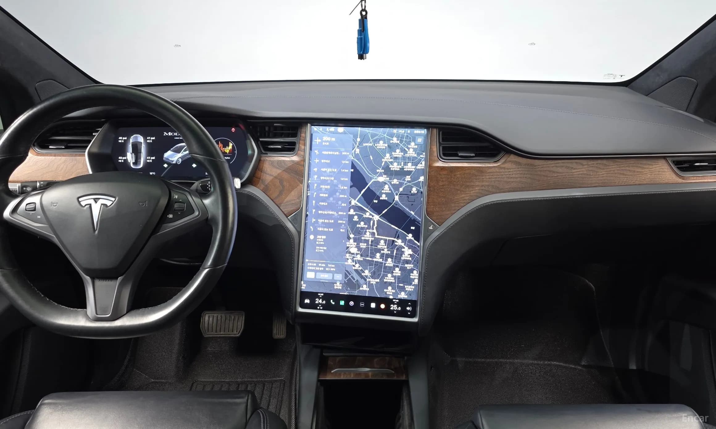 Model X