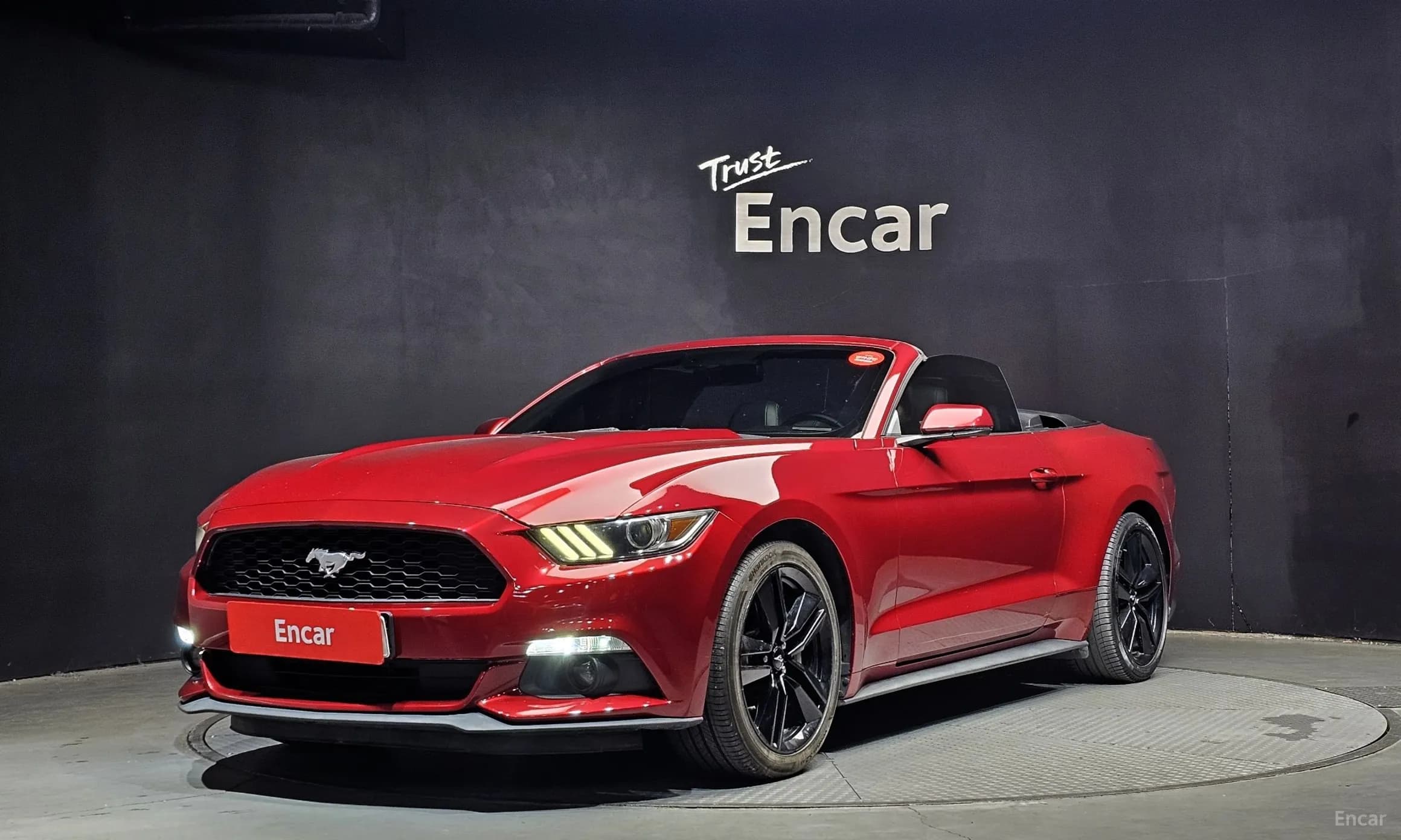 Mustang