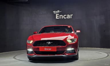 Mustang