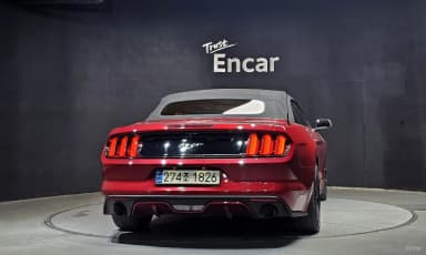 Mustang