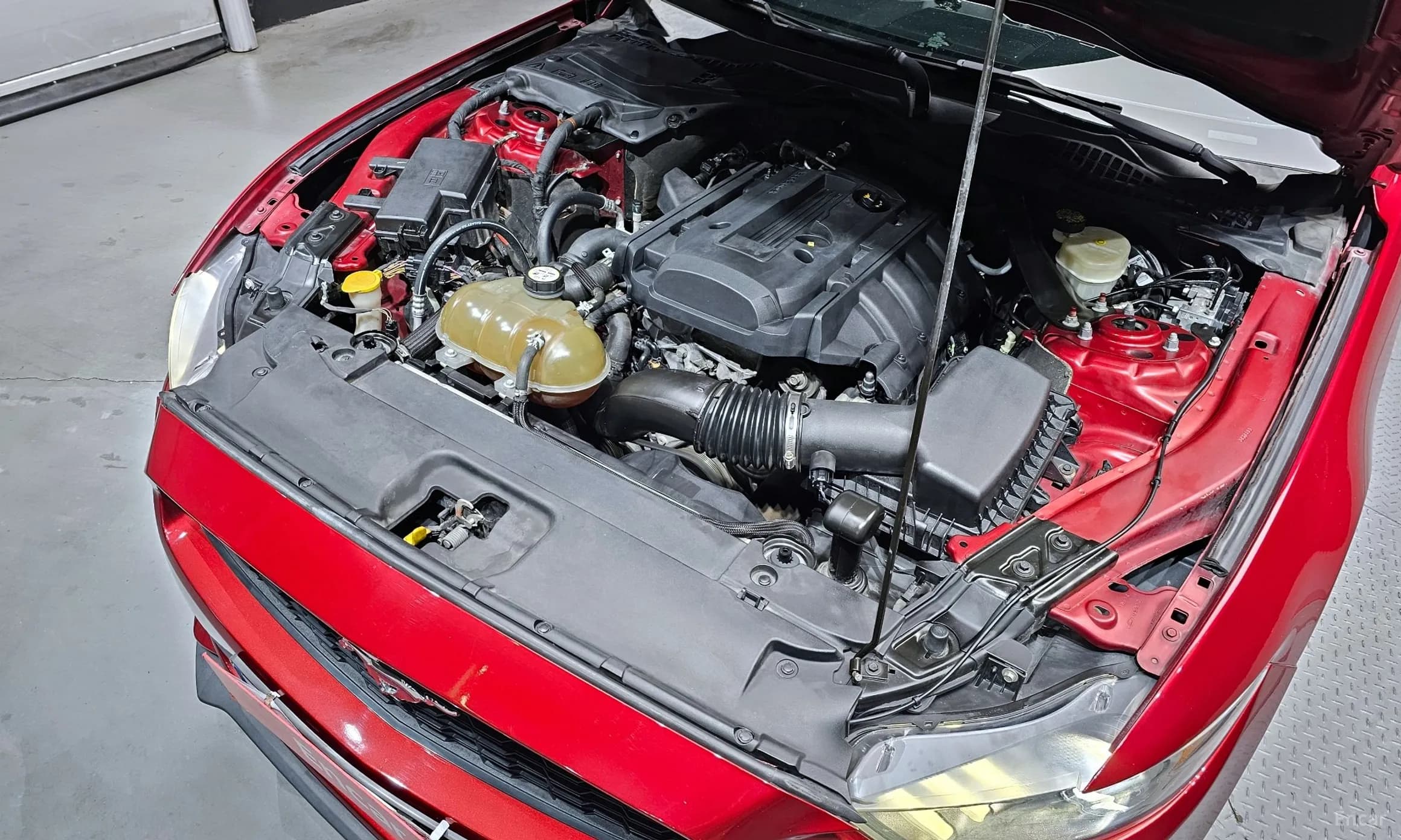 Mustang