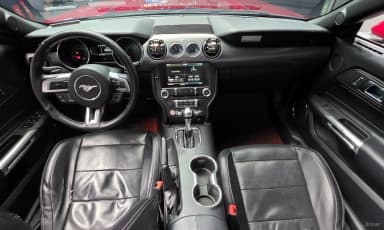 Mustang