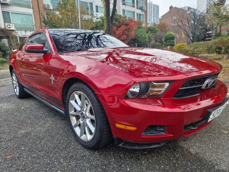 Mustang