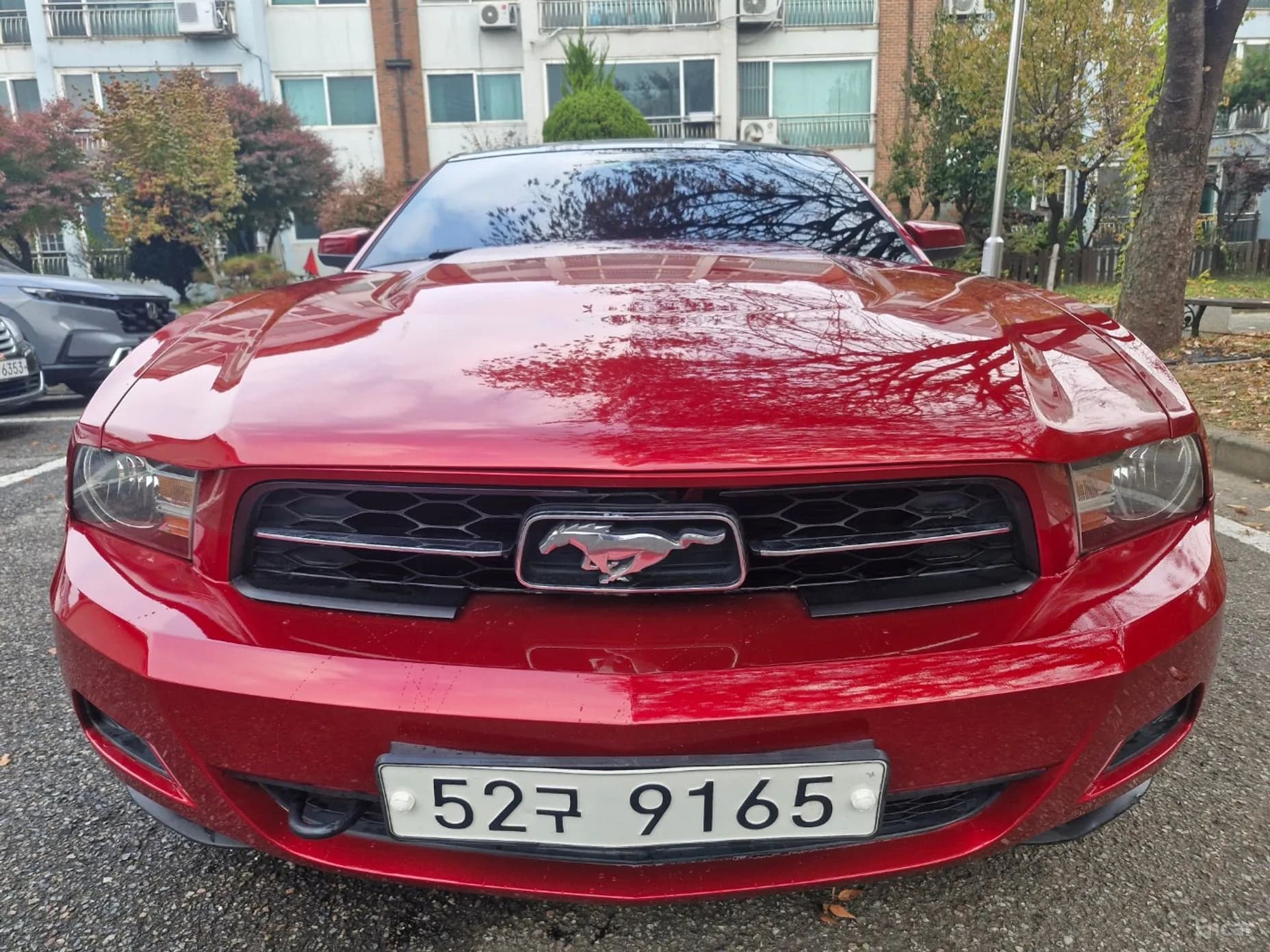 Mustang