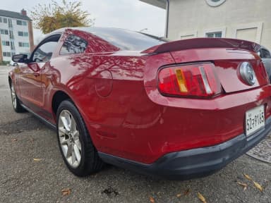 Mustang