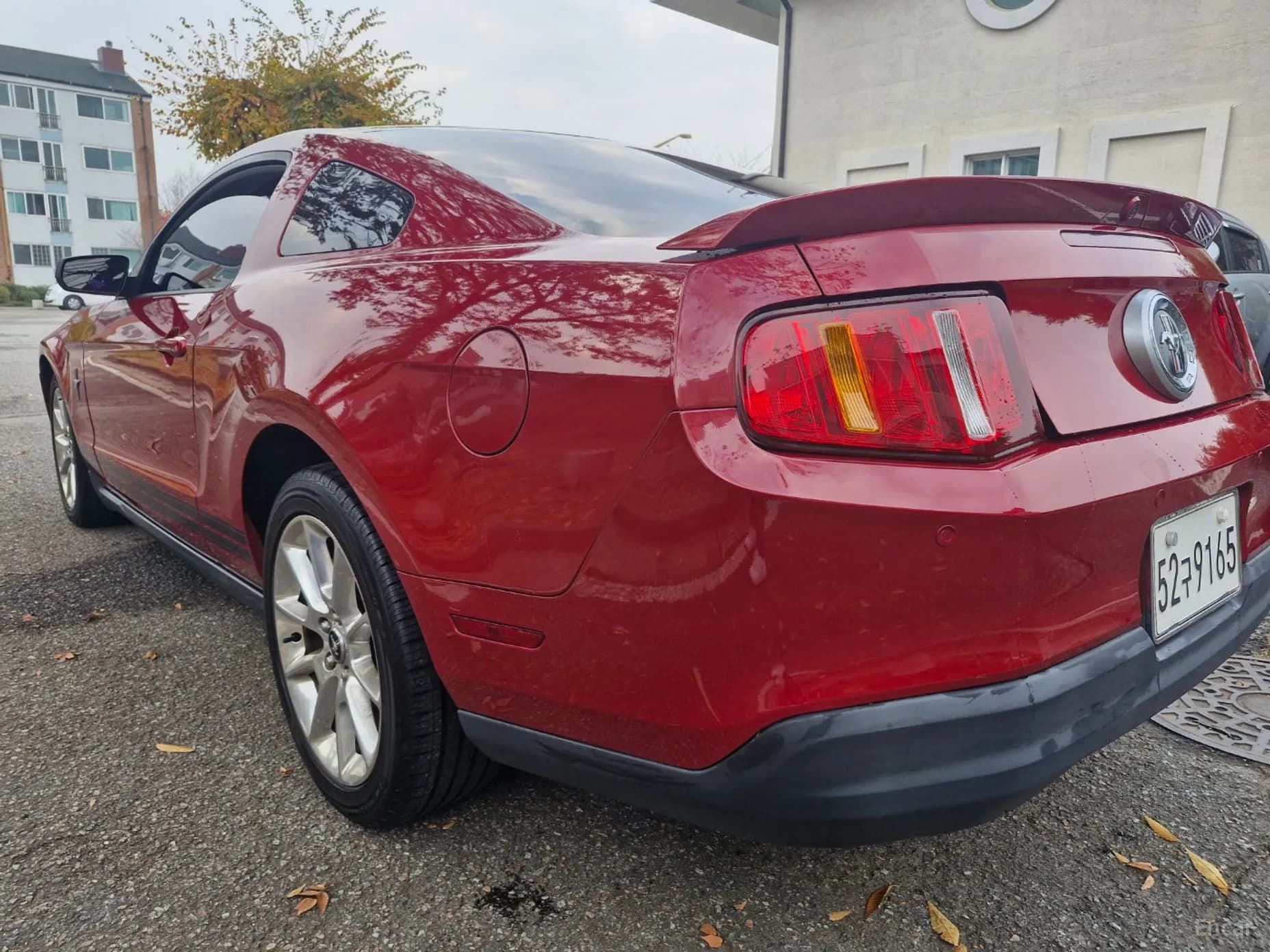 Mustang