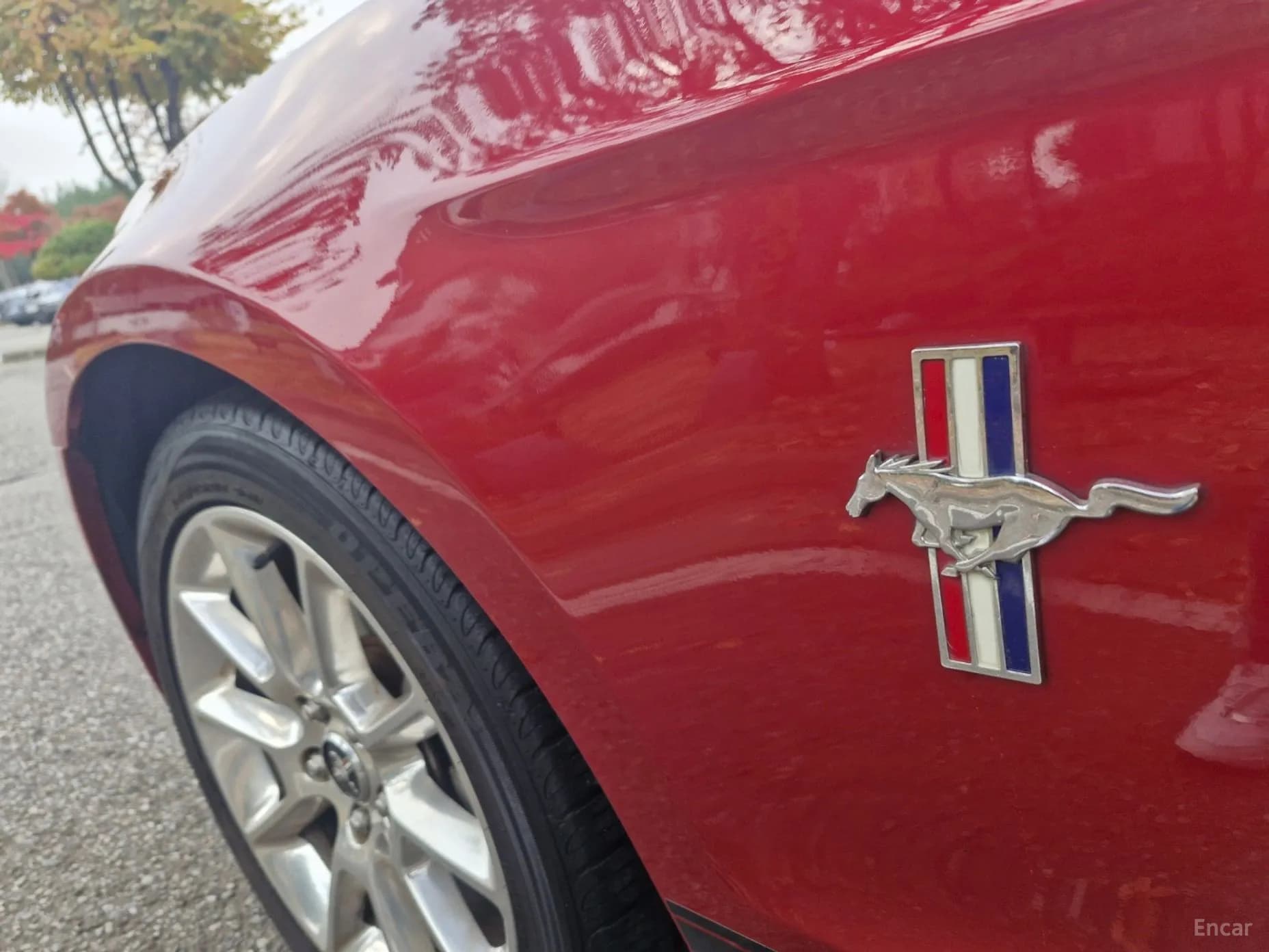 Mustang