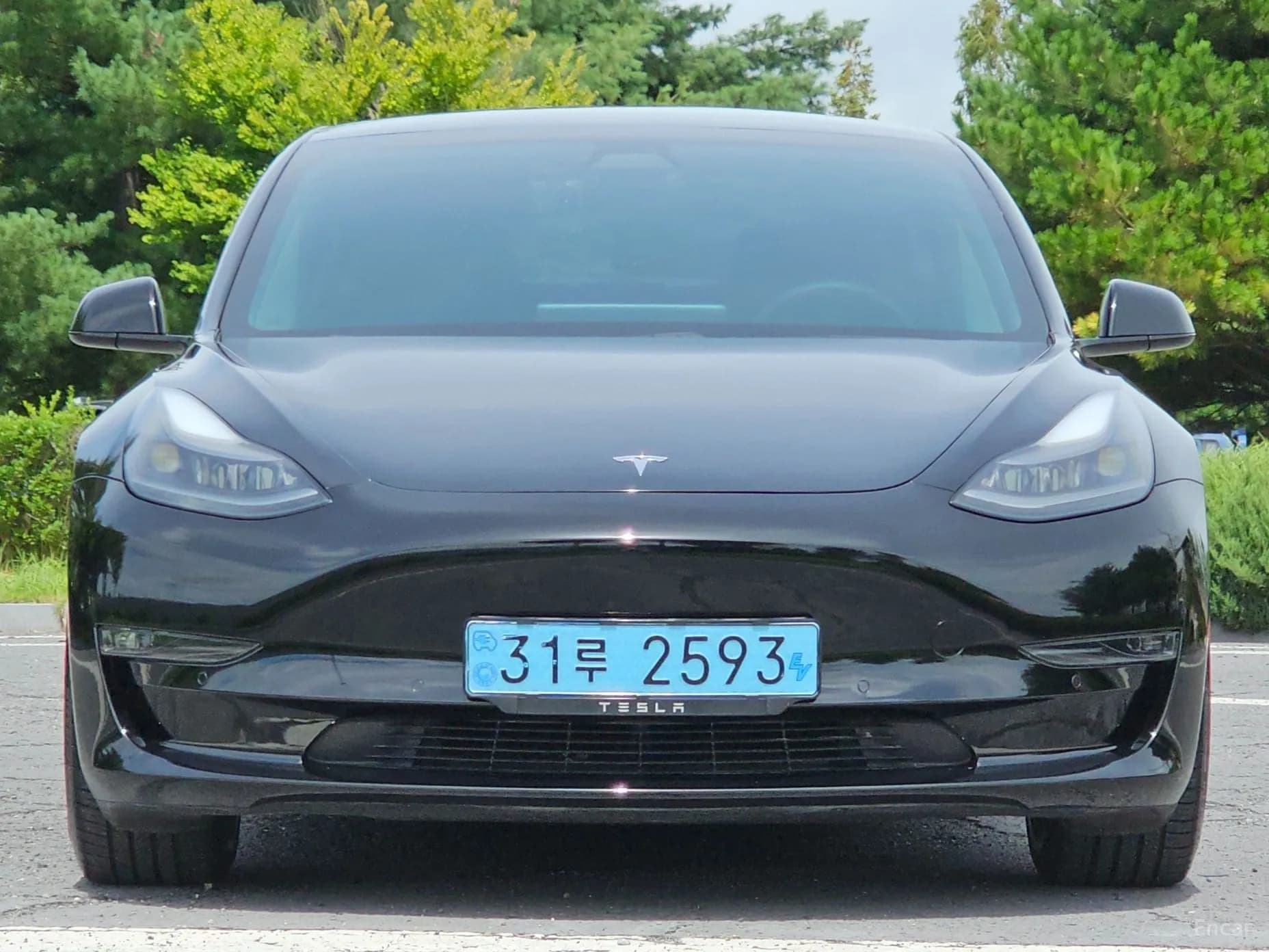 Model 3