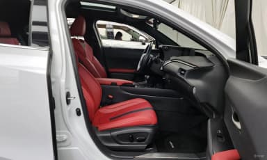 UX250h