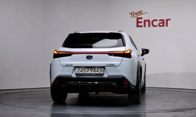 UX250h