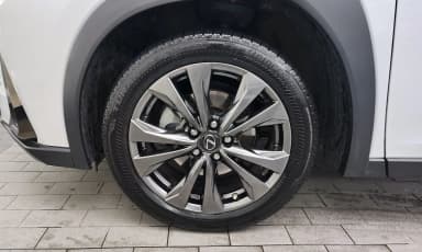 UX250h