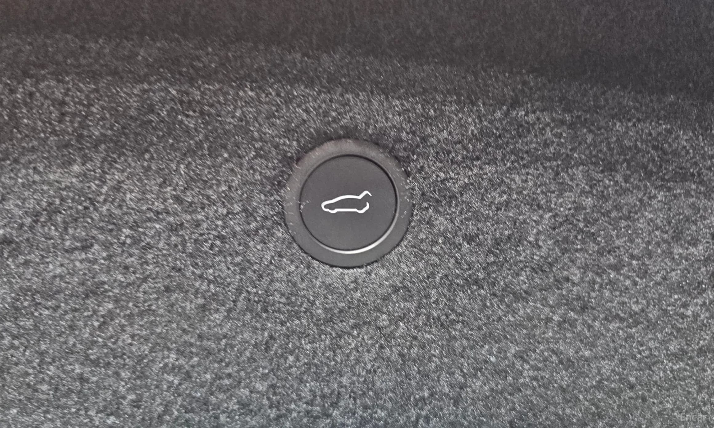 Model S