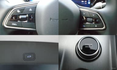 Grang Koleos