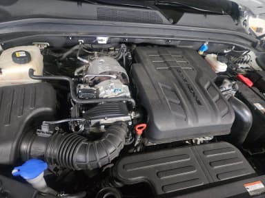 Rexton Sports