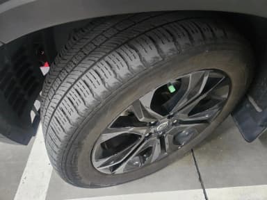 Rexton Sports