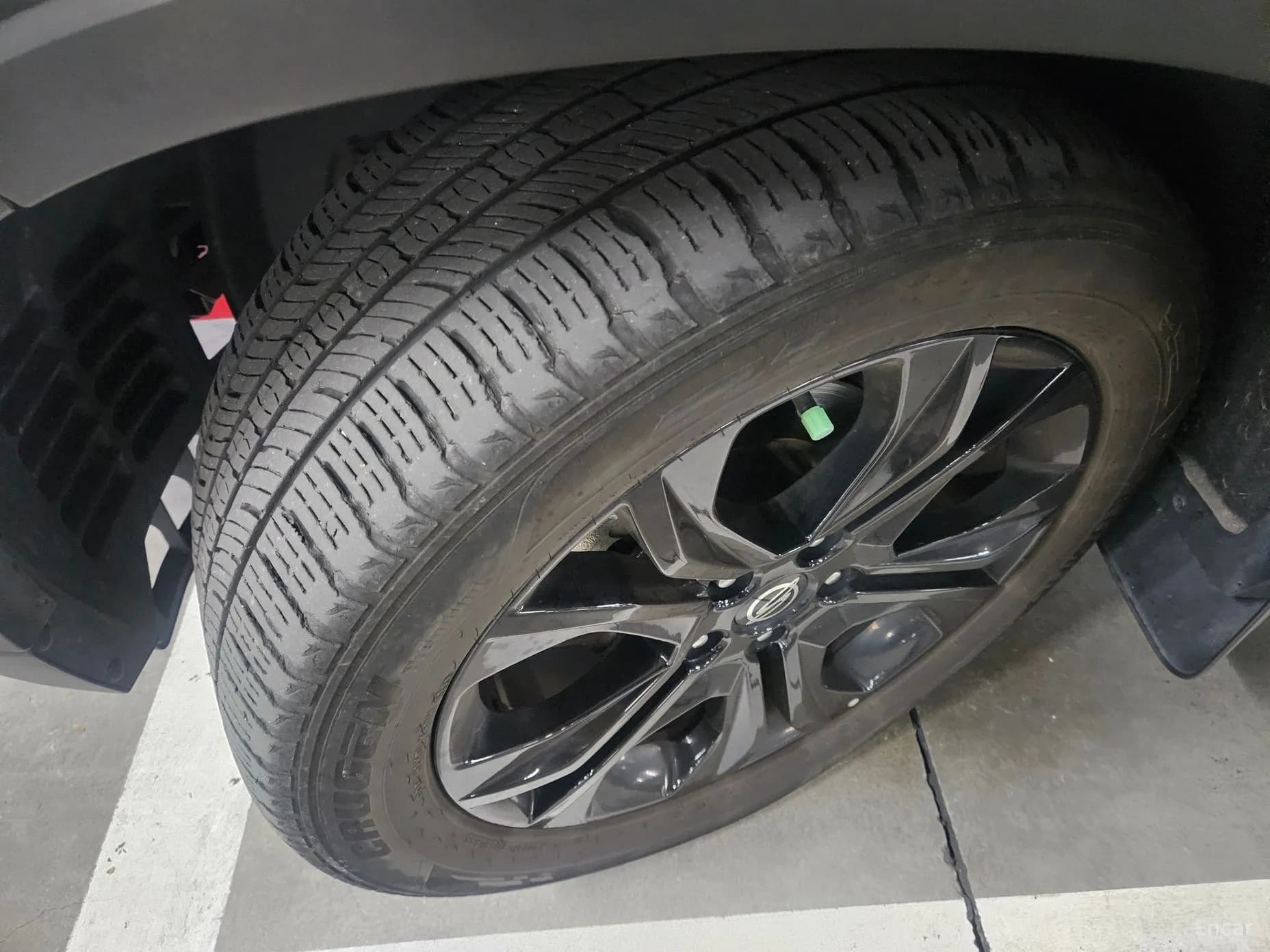 Rexton Sports
