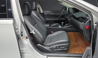 New ES300h