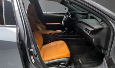 UX250h