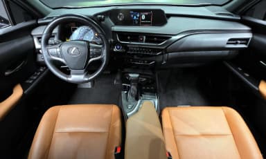 UX250h