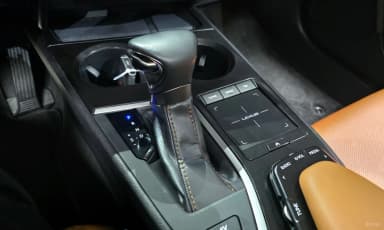 UX250h