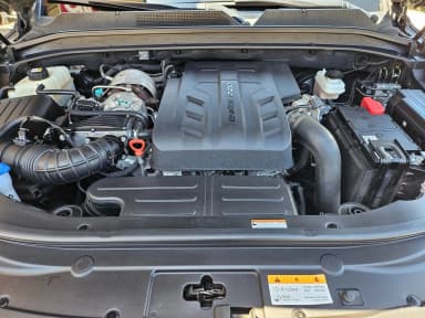 Rexton Sports