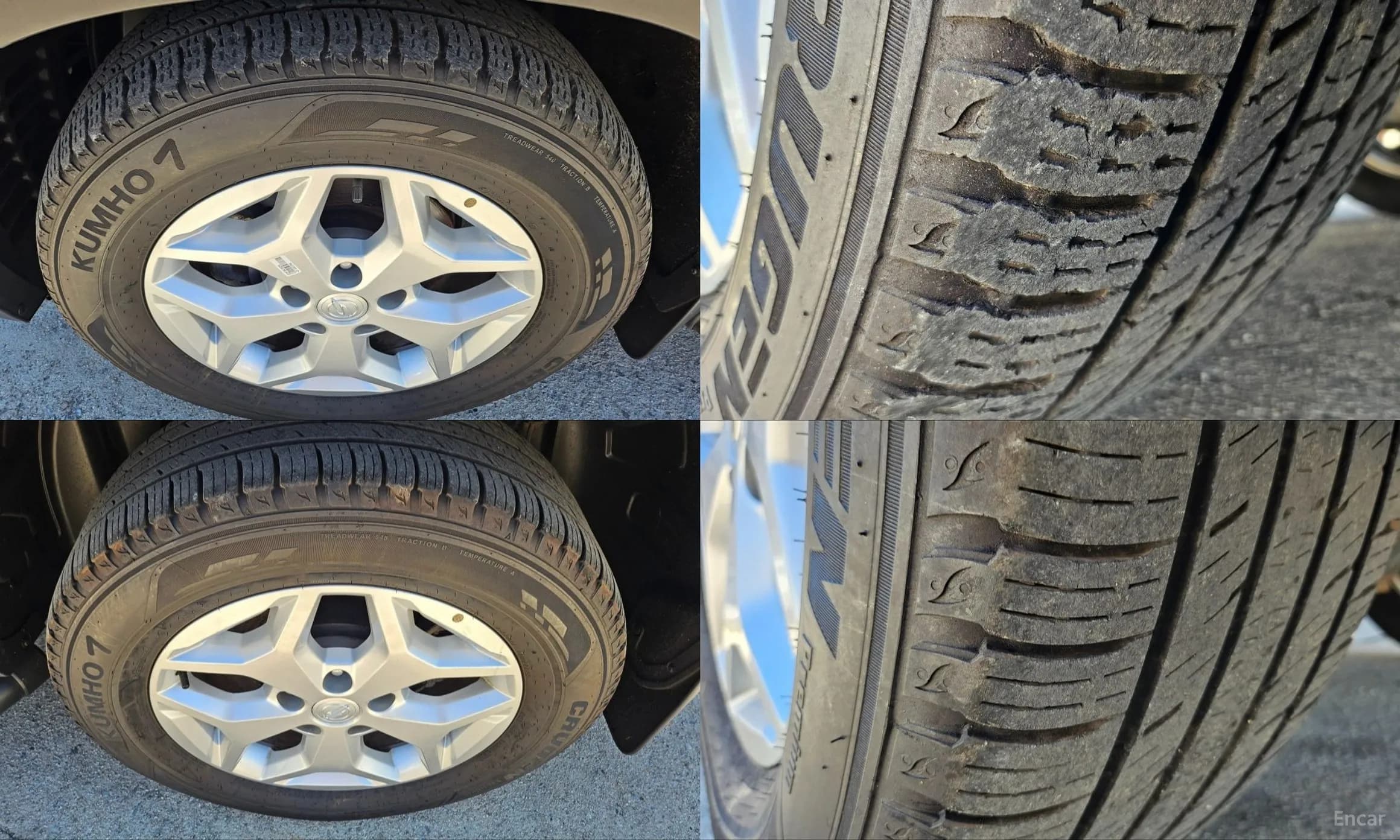 Rexton Sports
