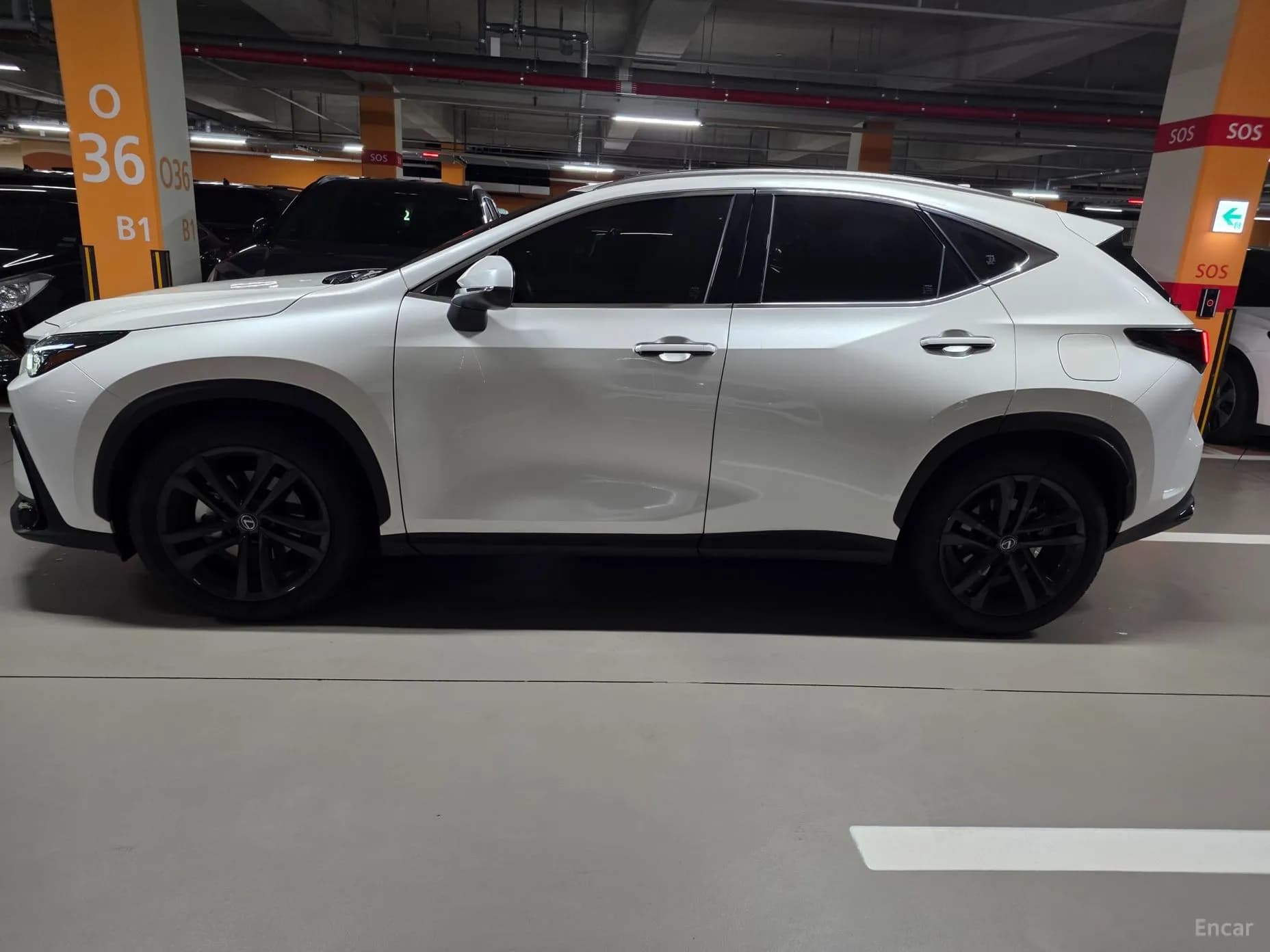 NX350h Gen 2