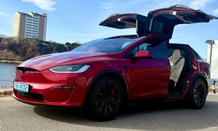 Model X