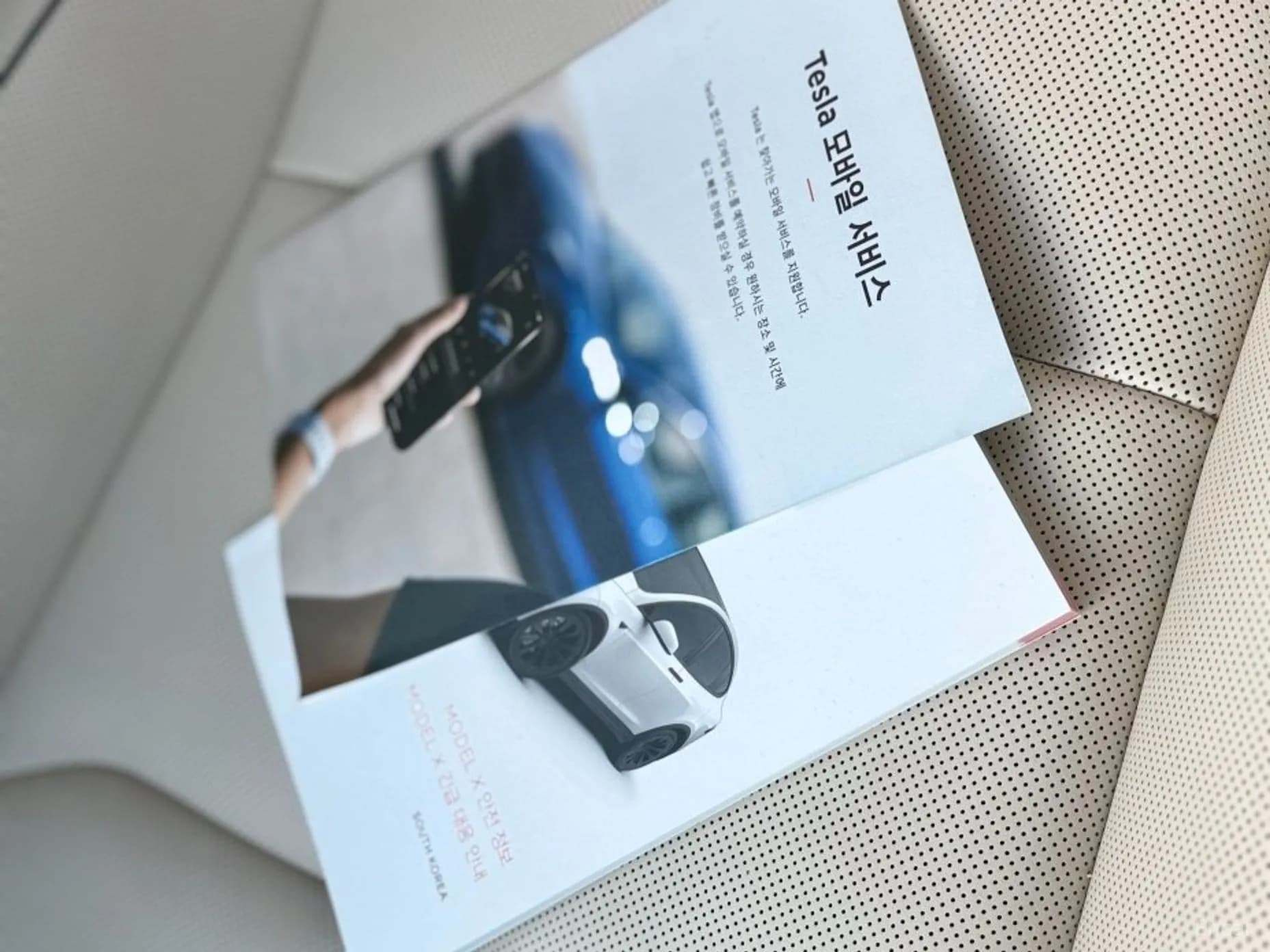 Model X