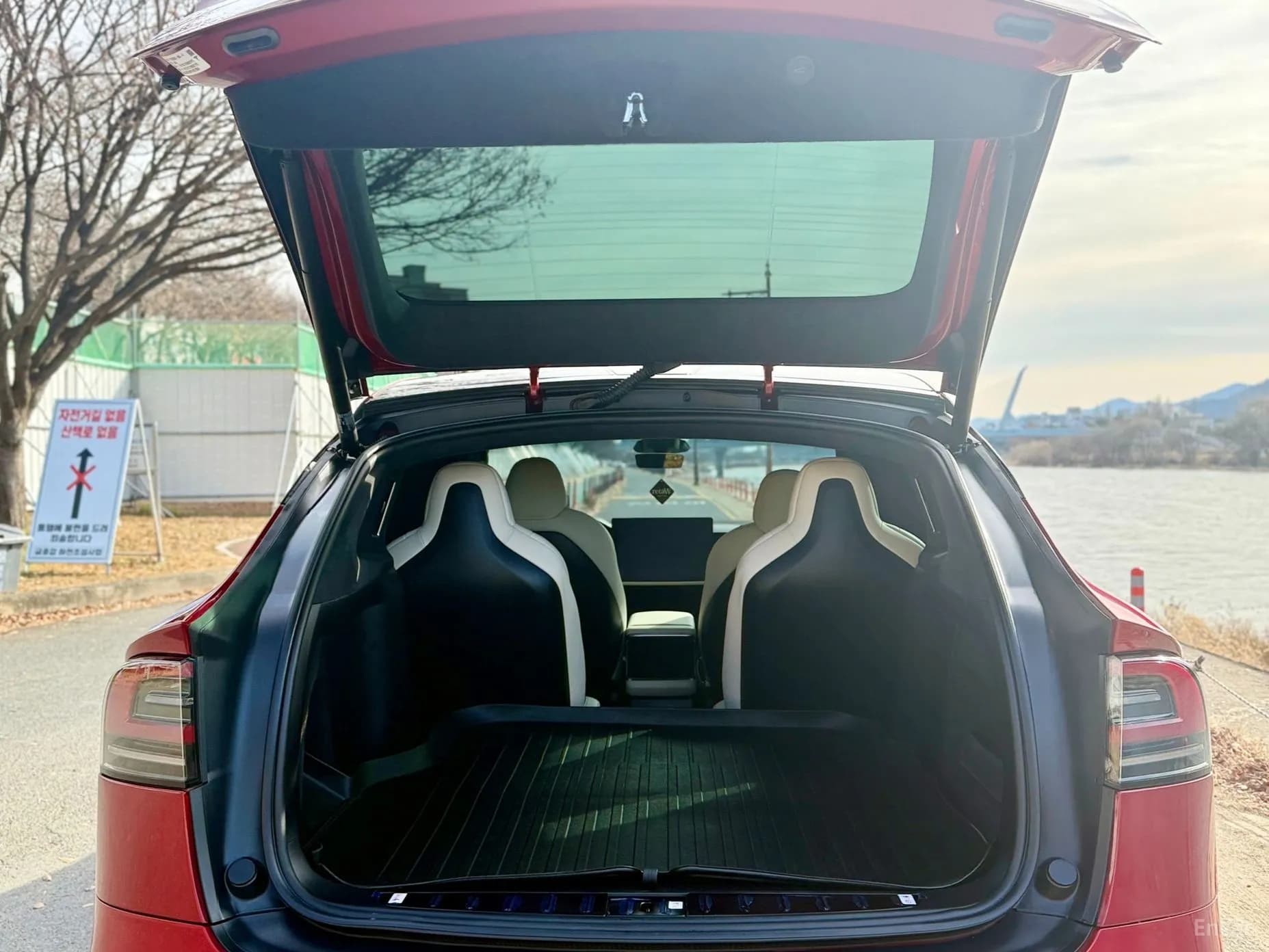 Model X