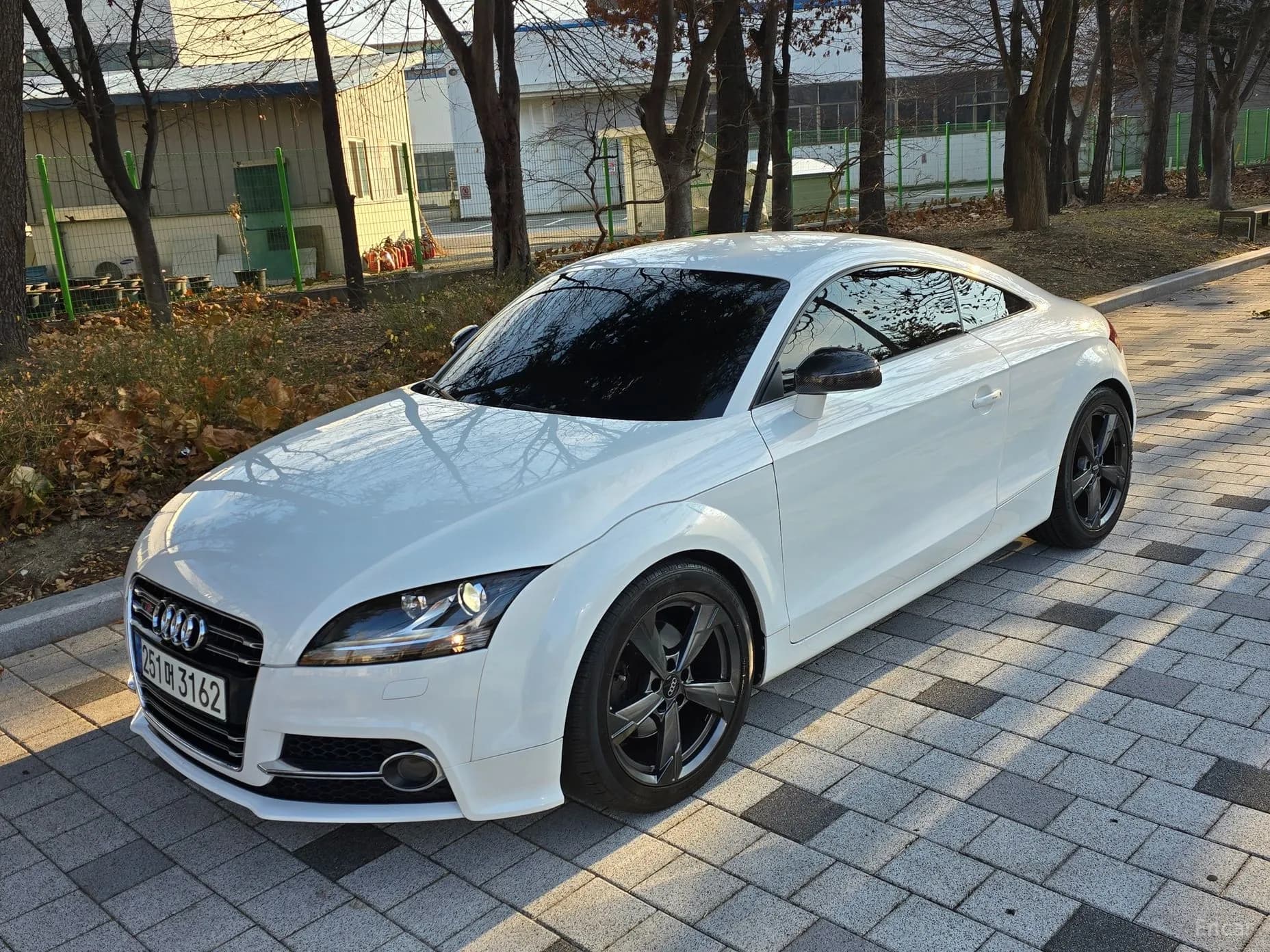 New TT