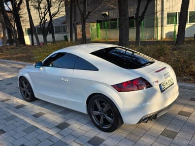 New TT